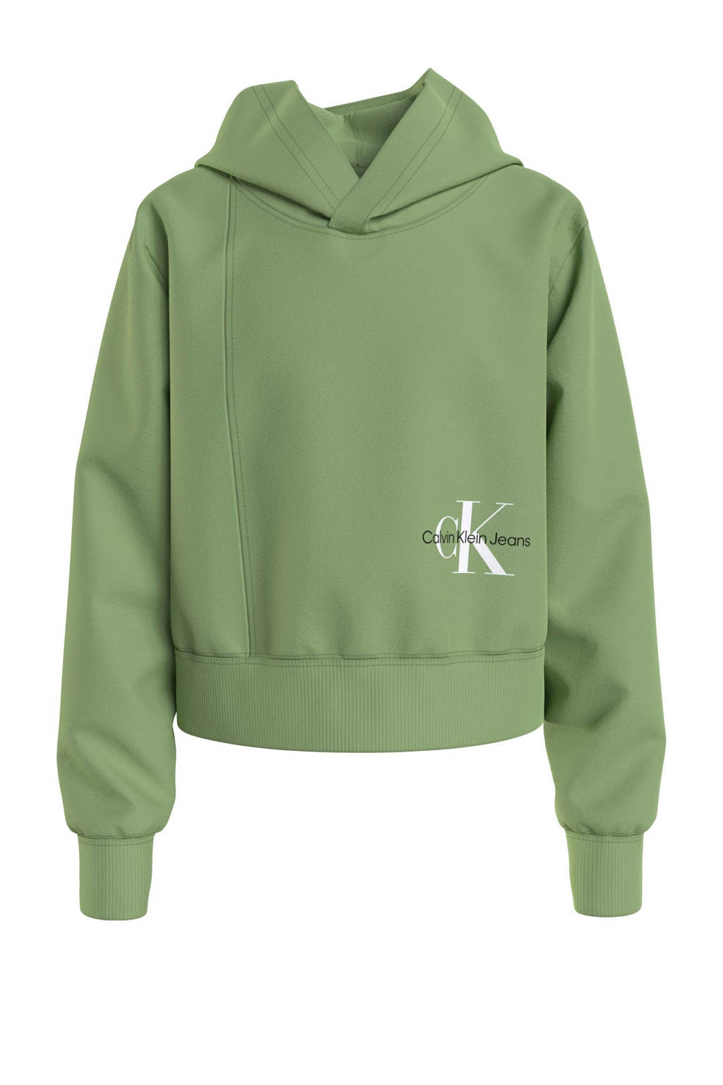 CALVIN KLEIN JEANS hoodie met logo groen