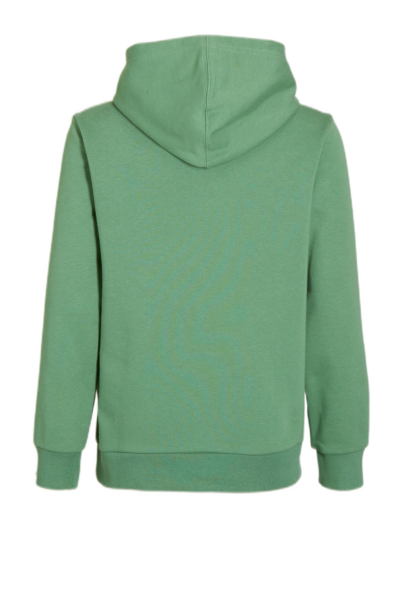 mint green hoodie champion