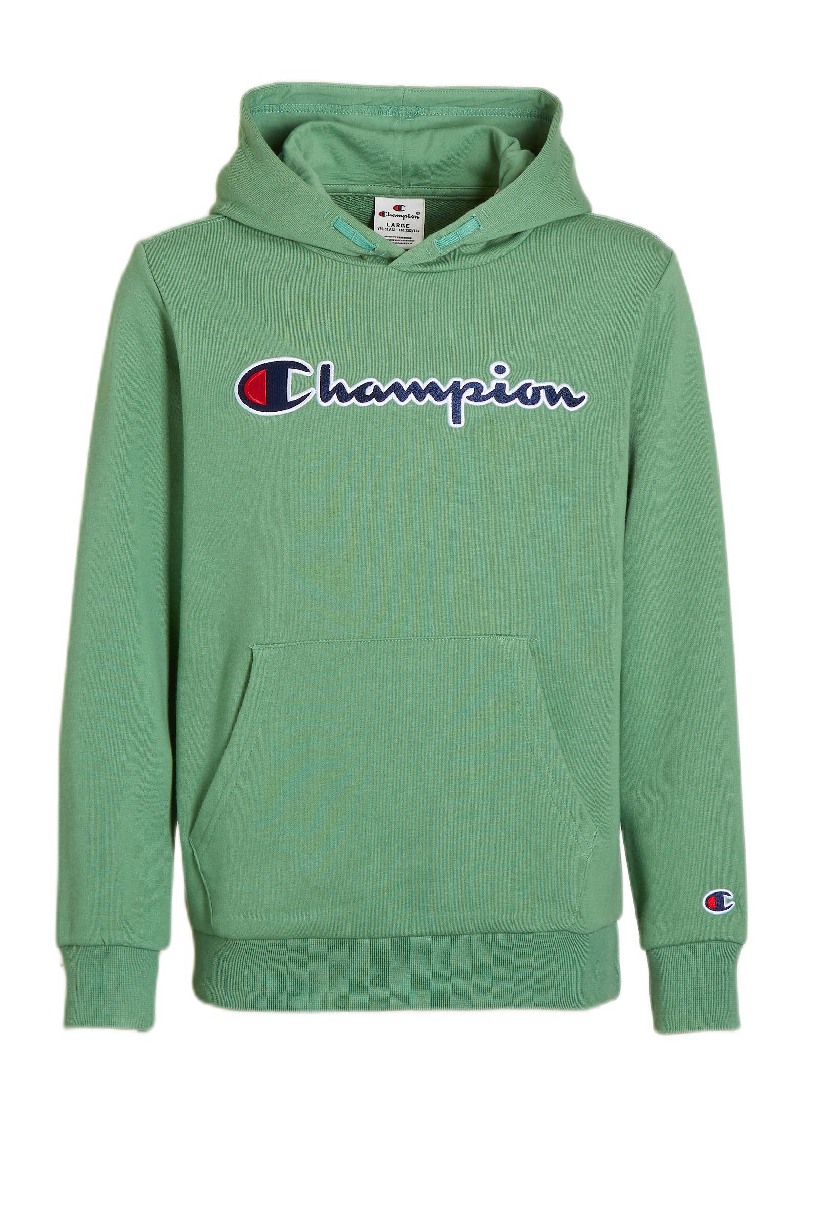 champion hoodie teal