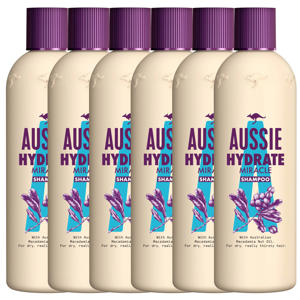Hydrate Miracle shampoo - 6 x 300 ml - voordeelverpakking