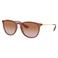 Ray-Ban zonnebril 0RB4171 bruin