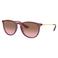 Ray-Ban zonnebril 0RB4171 paars