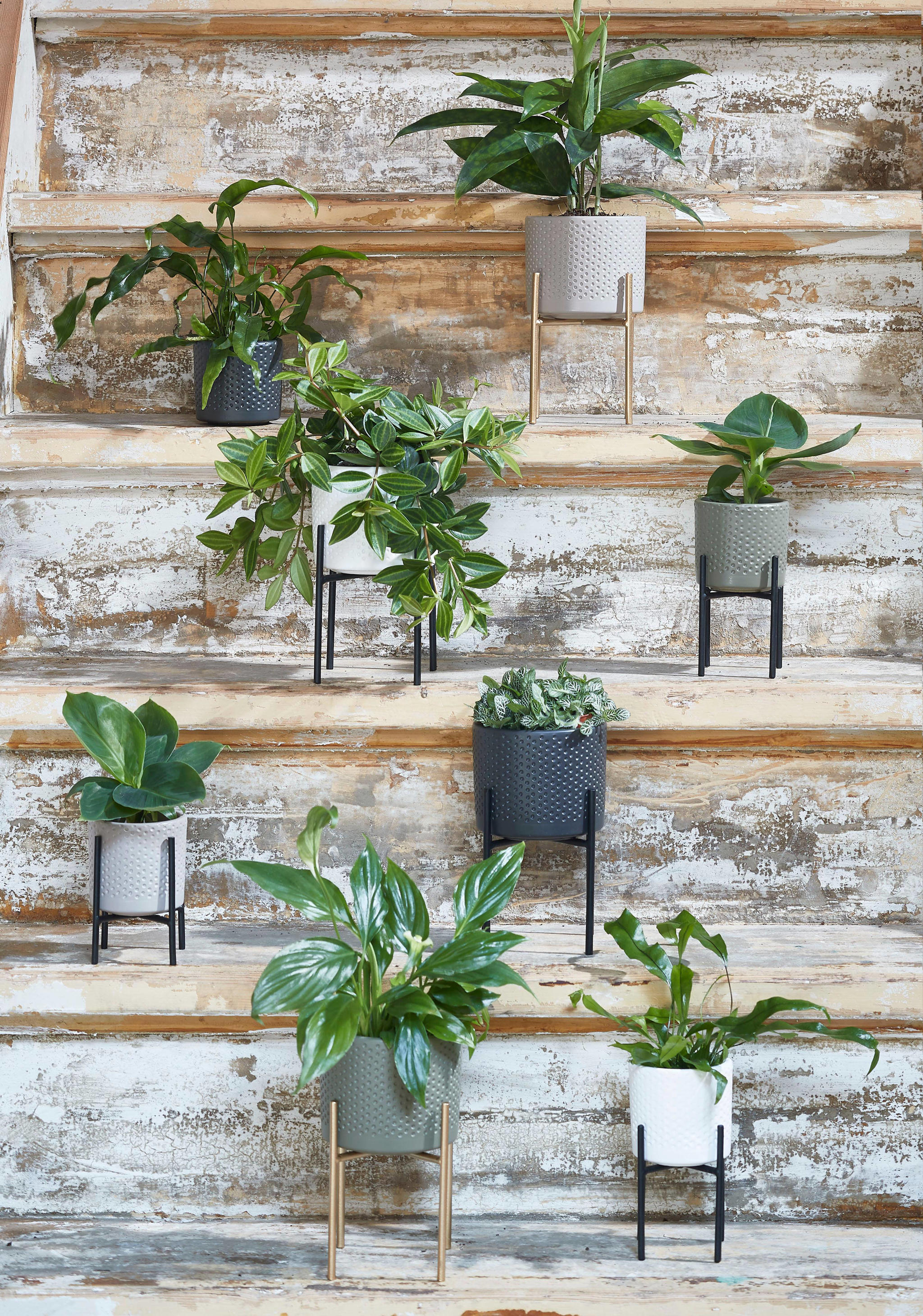Mica Decorations bloempot Era - Afbeelding 6