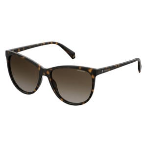 zonnebril 4066/S met tortoise print bruin