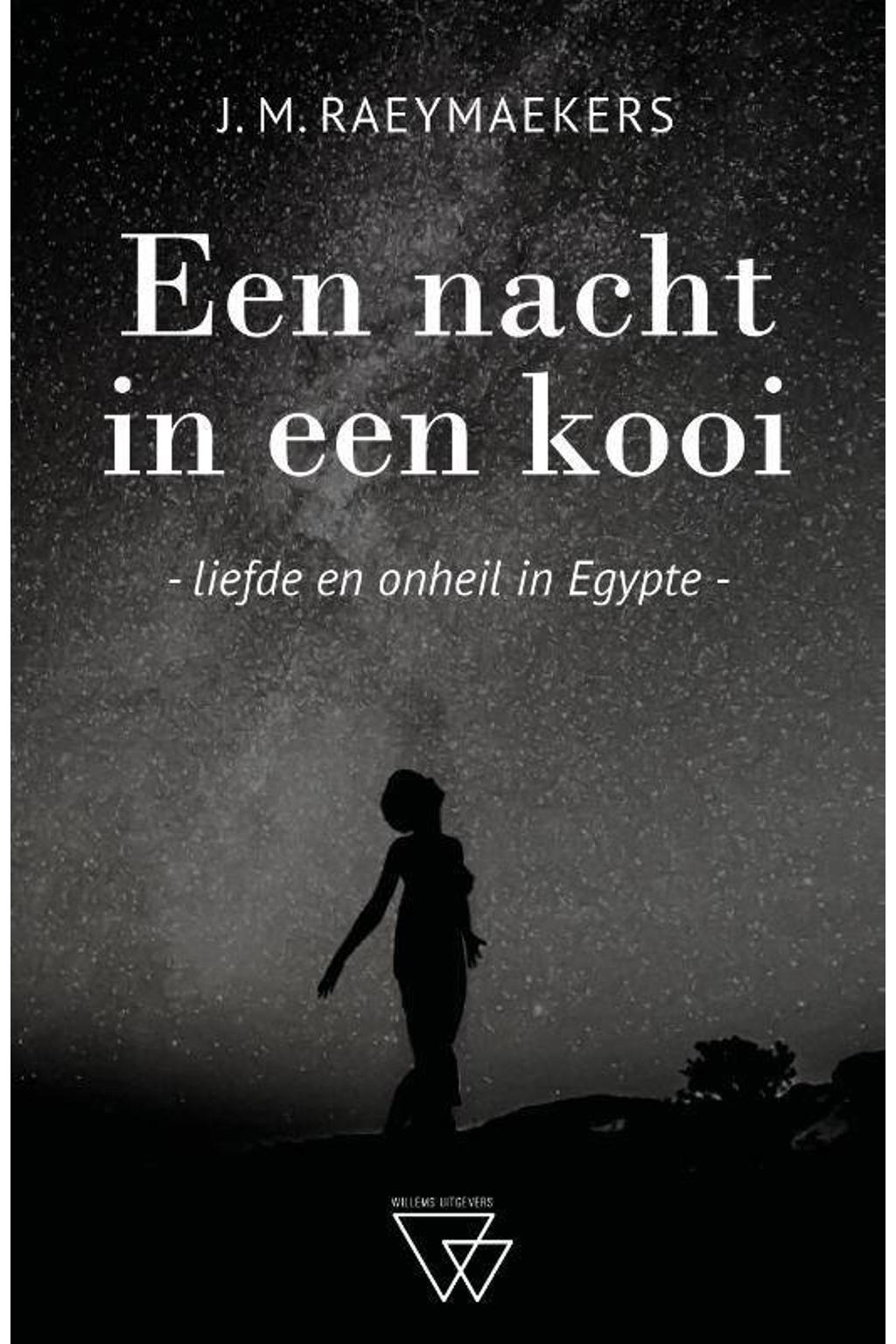 Een nacht in een kooi - J.M. Raeymaekers