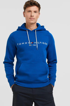 hoodie met logo greek isle blue