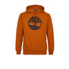 Geel