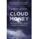 Cloudmoney - Brett Scott
