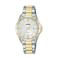 Lorus horloge RJ252BX9 zilverkleurig