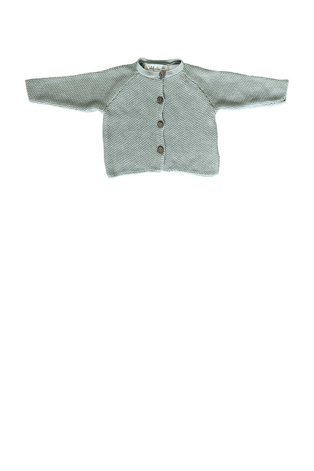 Witlof for kids newborn baby gebreid vest groen