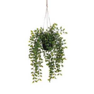 kunstplant Ficus