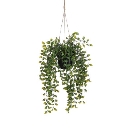 Mica Decorations kunstplant Ficus afbeelding