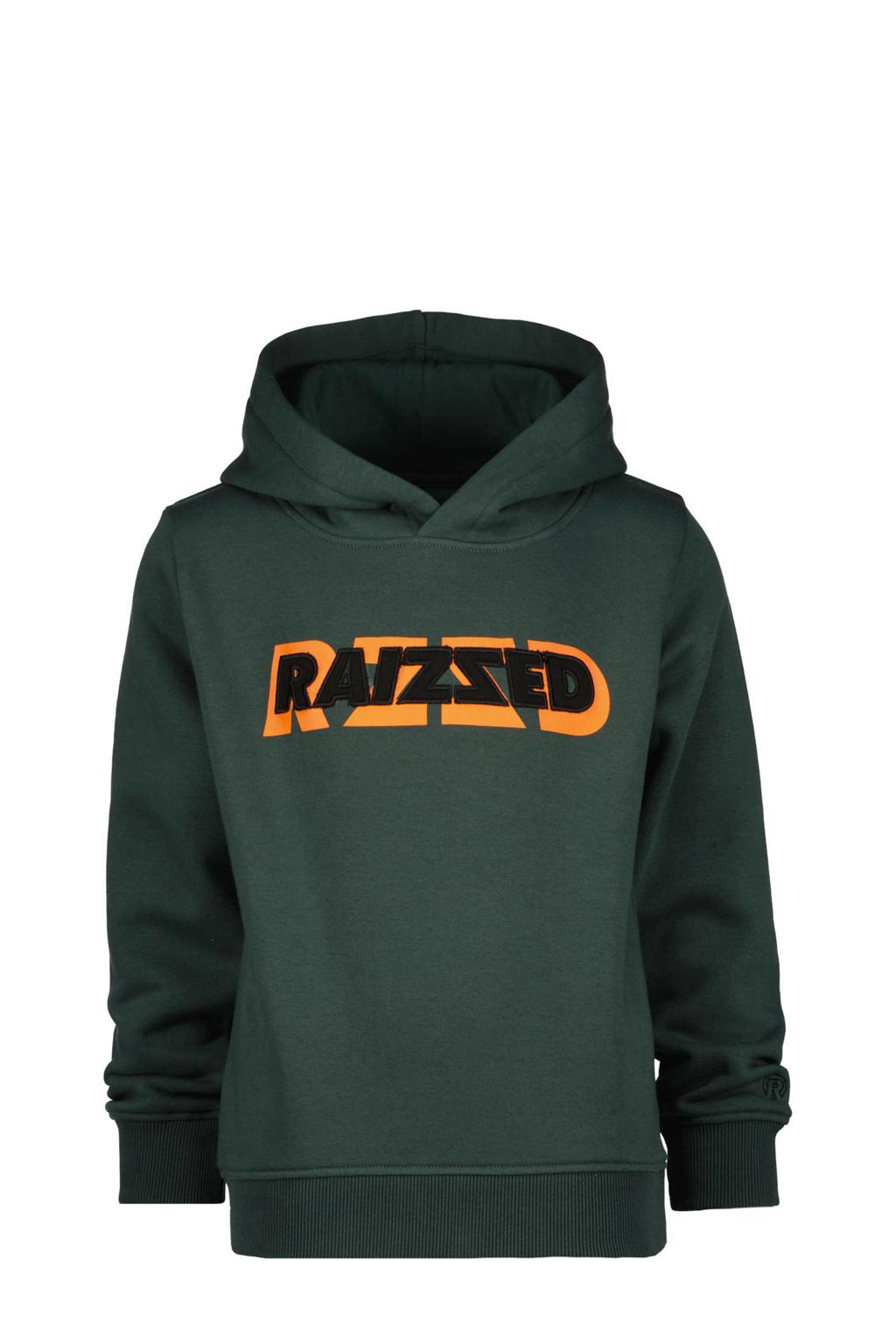 Raizzed hoodie Wilkes met logo donkergroen