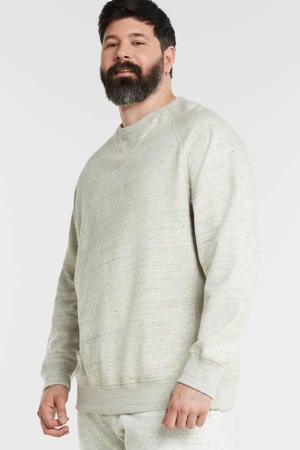 gemêleerde sweater BHAlton Plus Size stone mix