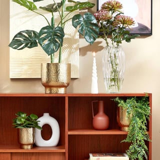 planten