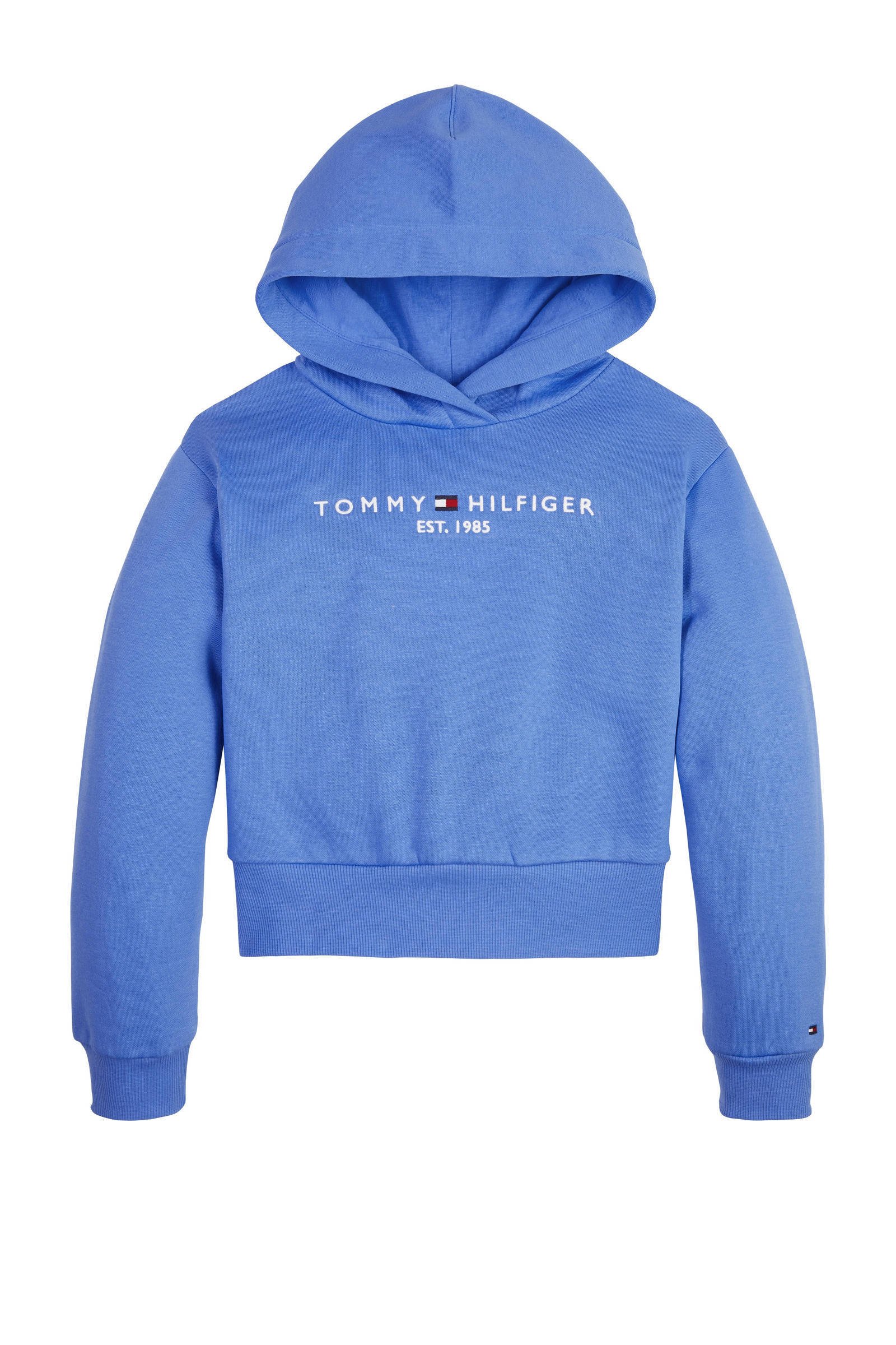 Tommy hilfiger 2024 hoodie meisjes