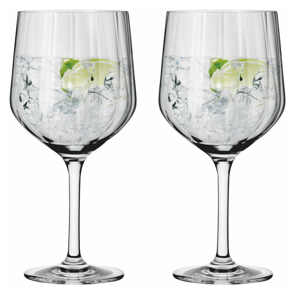 Ritzenhoff gin glas Sternschliff (set van 2)