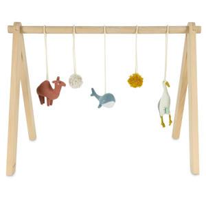 Bliss babygym