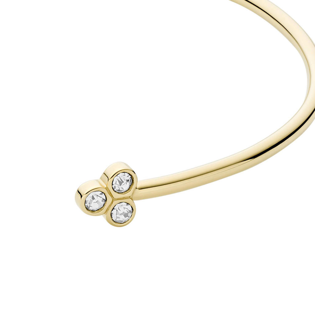 Fossil oorbellen JF04110710 Sadie goudkleurig