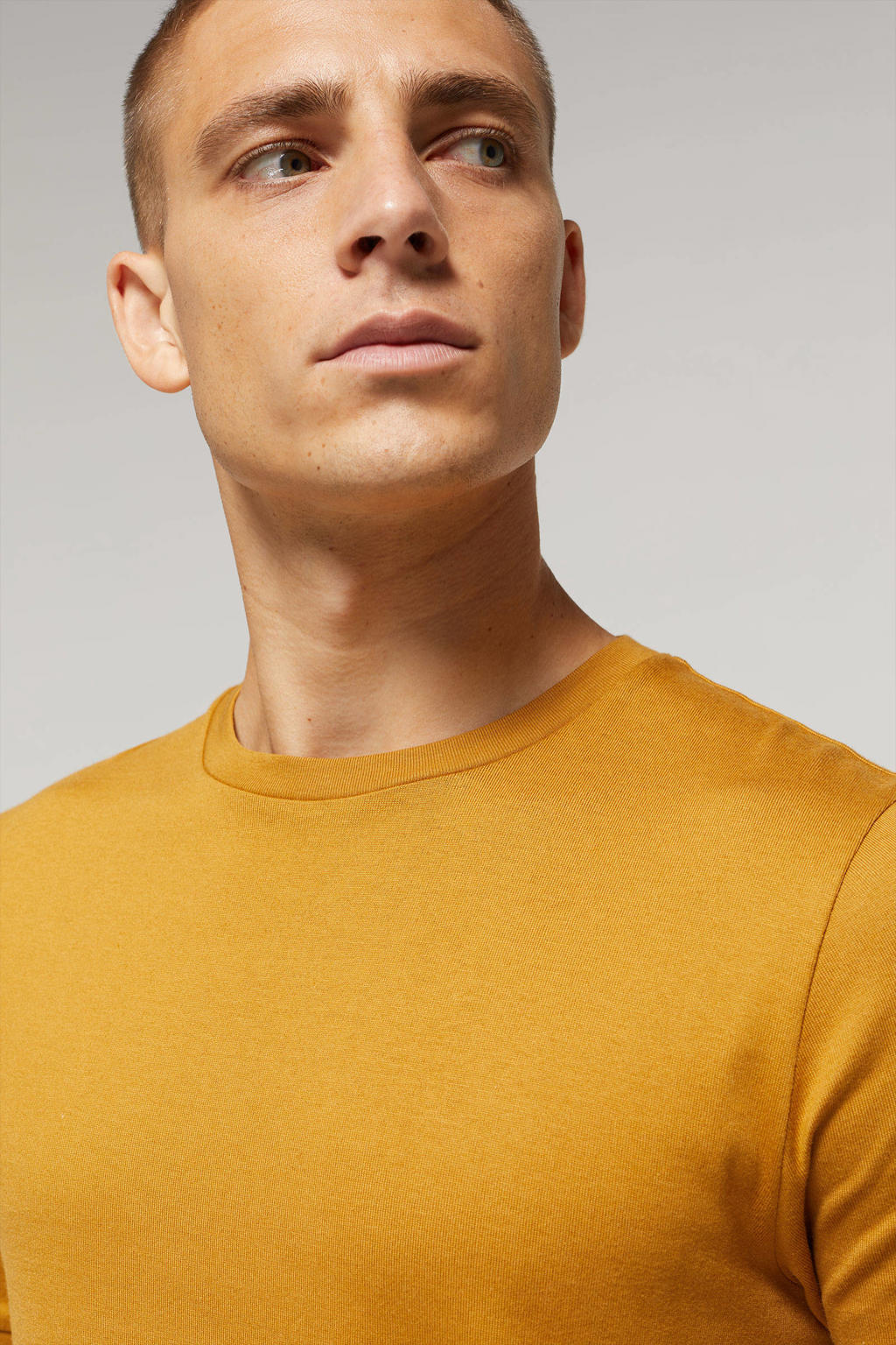 Van Gils slim fit Tshirt lion wehkamp