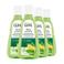 Guhl Fris & Luchtig shampoo - 4 x 250 ml