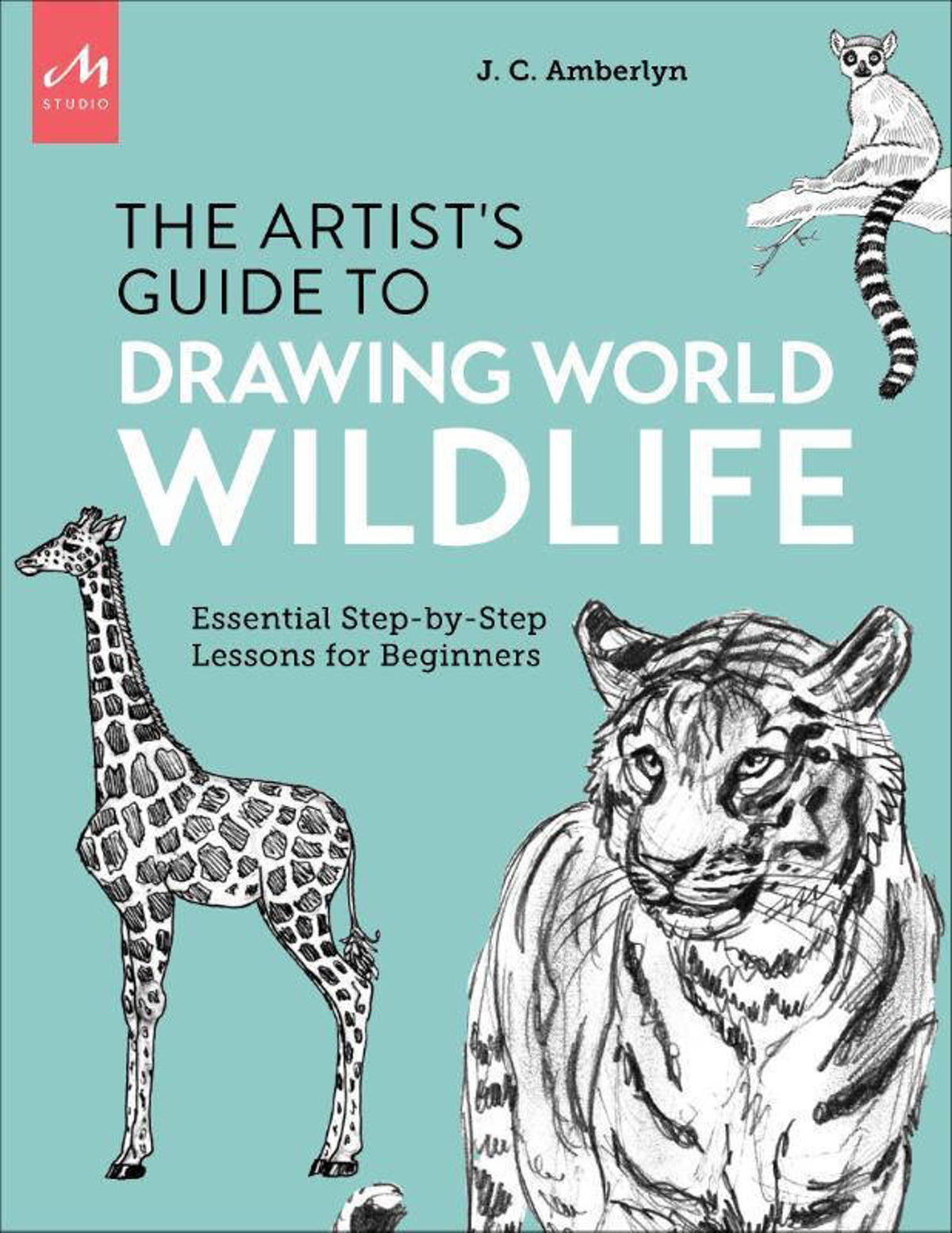 J.C. Amberlyn Artist's Guide to Drawing World Wildlife wehkamp