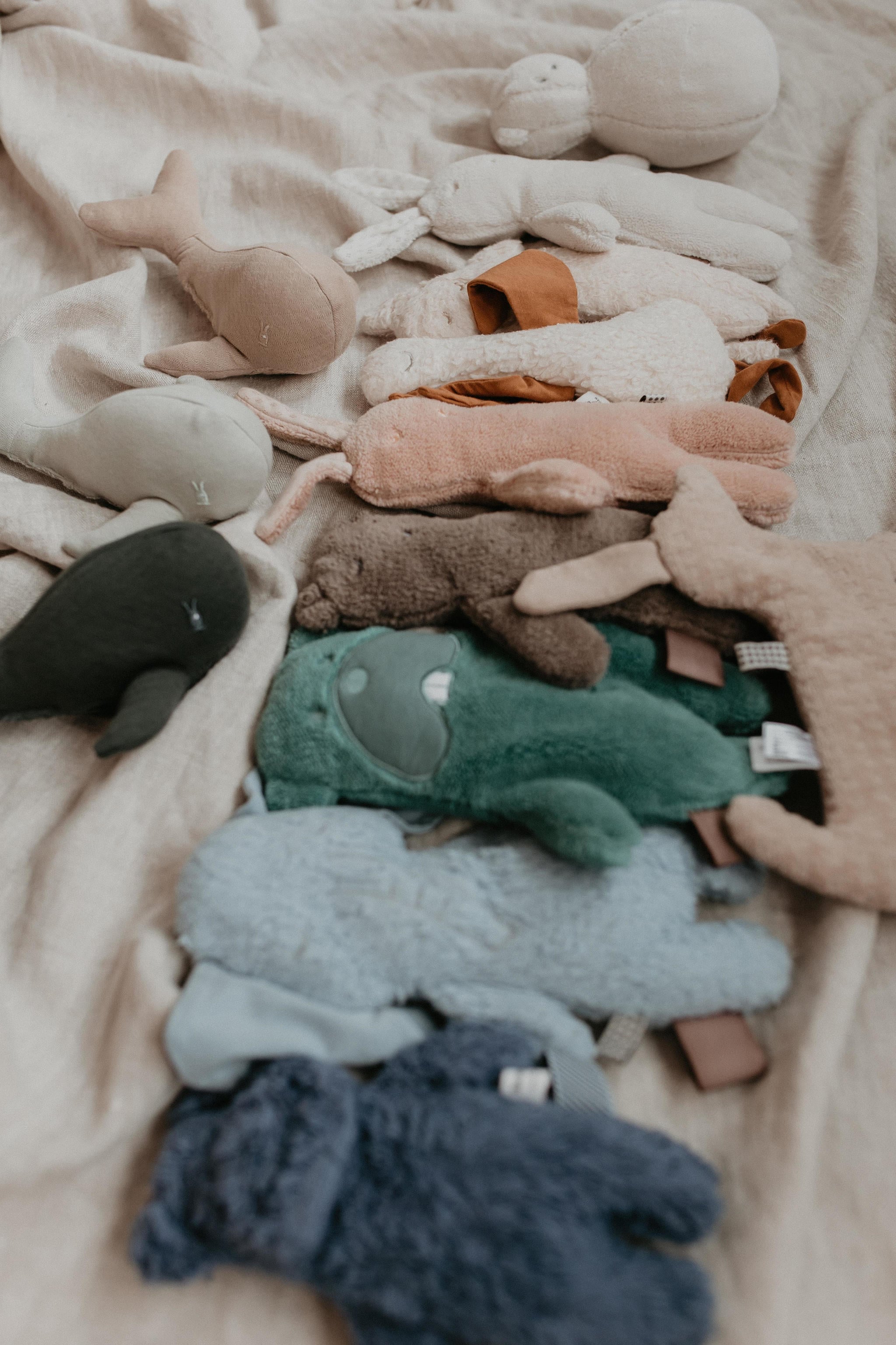 Snoozebaby Mystic Mint Wally Whale knuffel 16 cm - Afbeelding 2