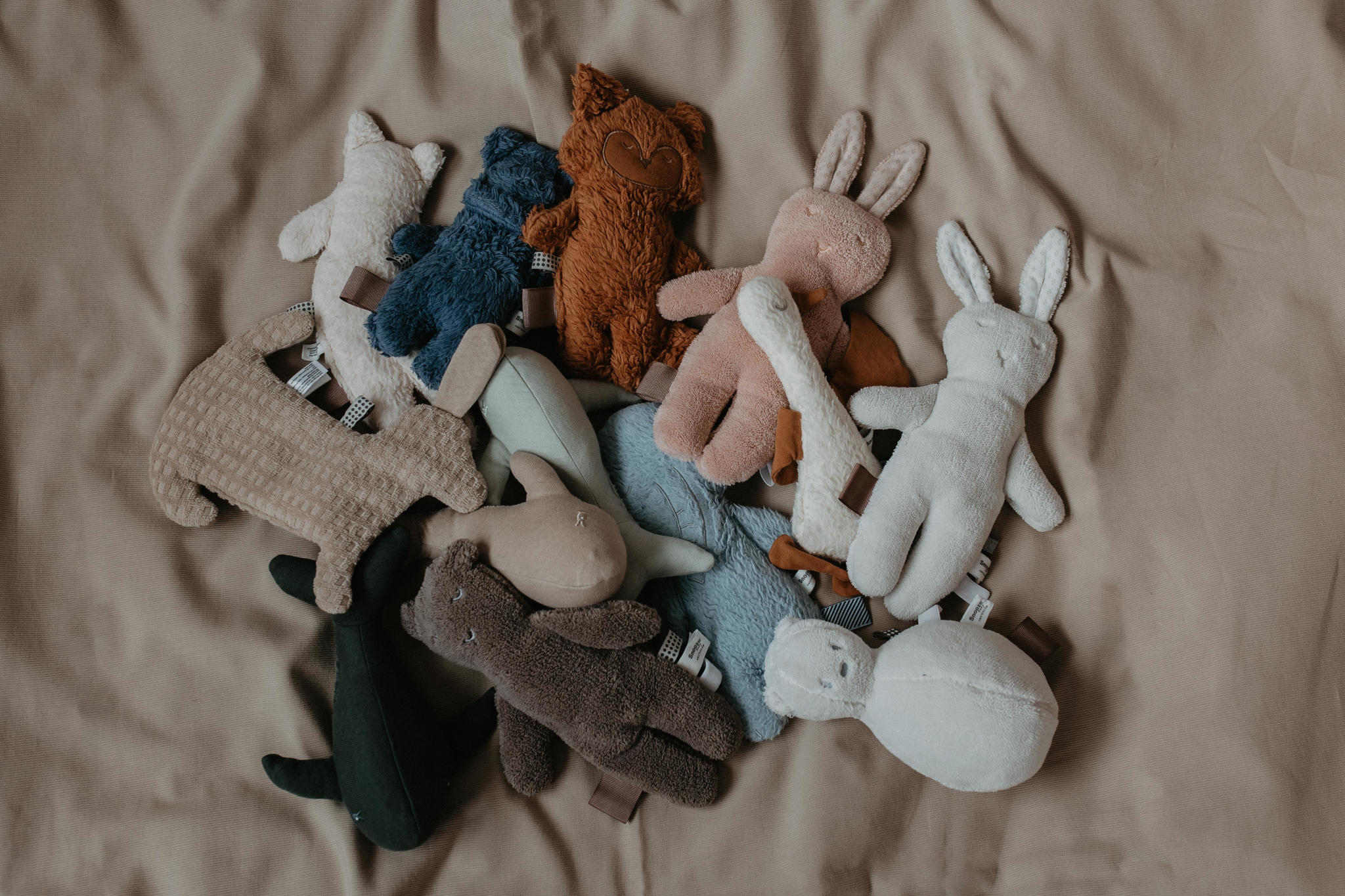 Snoozebaby Desert Sand Wally Whale knuffel 16 cm - Afbeelding 4