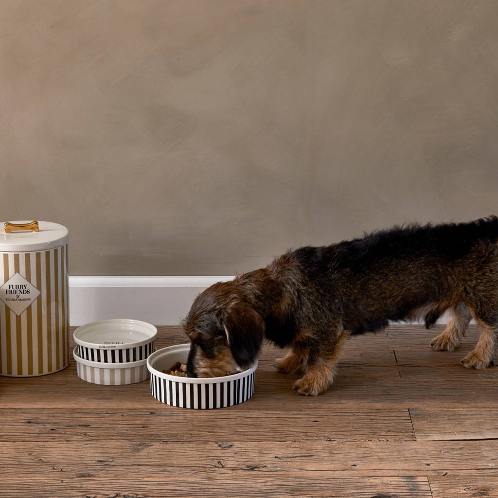 aanvulling Haven inch Riviera Maison honden voerbak - Bone Appétit Dog Bowl - L (Ø 20x6 cm) |  wehkamp