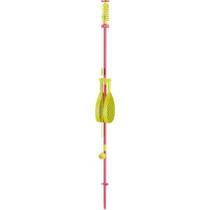 Swingball
