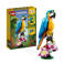 LEGO Creator 3-in-1 Exotische Papegaai - Kikker - Vis Dieren Speelgoed voor Kinderen 31136