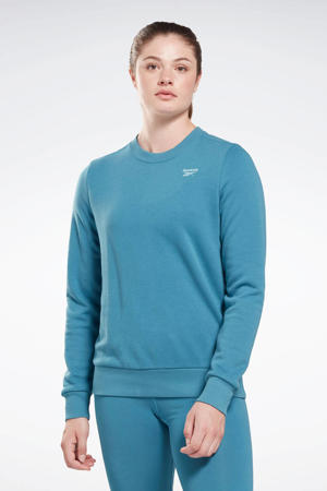sportsweater blauw