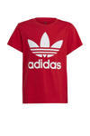 Rood/wit