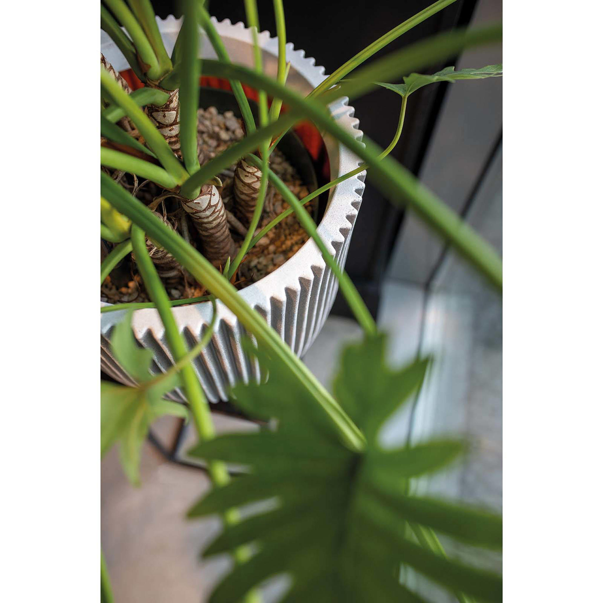 Capi bloempot Nature Groove (Ø43x41 cm) - Afbeelding 2