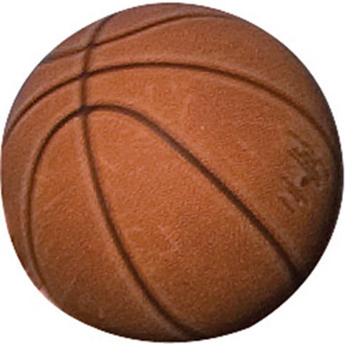 Lifetime Basketbal