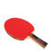 Buffalo Tafeltennis bat Dominator