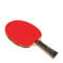 Buffalo tafeltennisbat