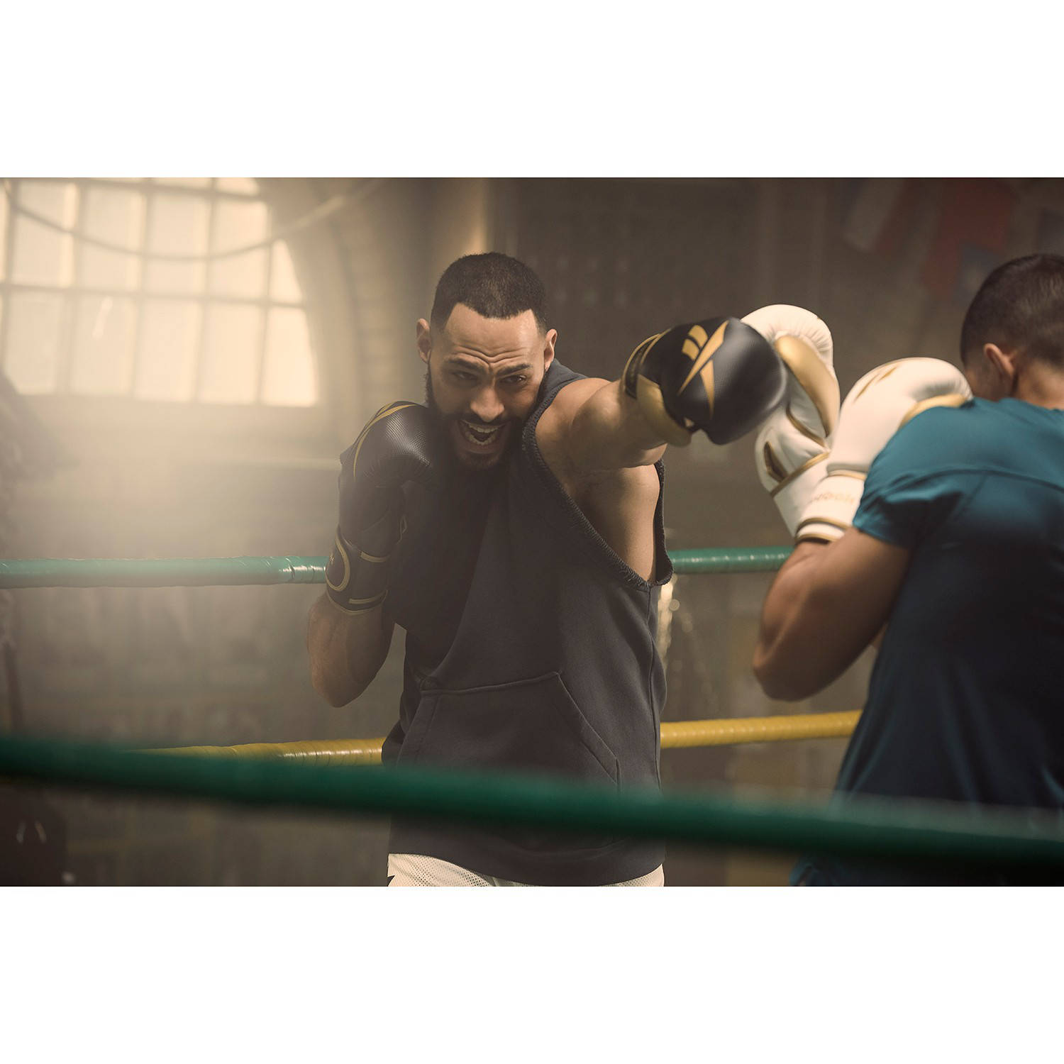 martial arts (judo, karate, kickboksen, jiujitsu of kungfu)
