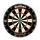 Winmau Diamond wired Dartbord