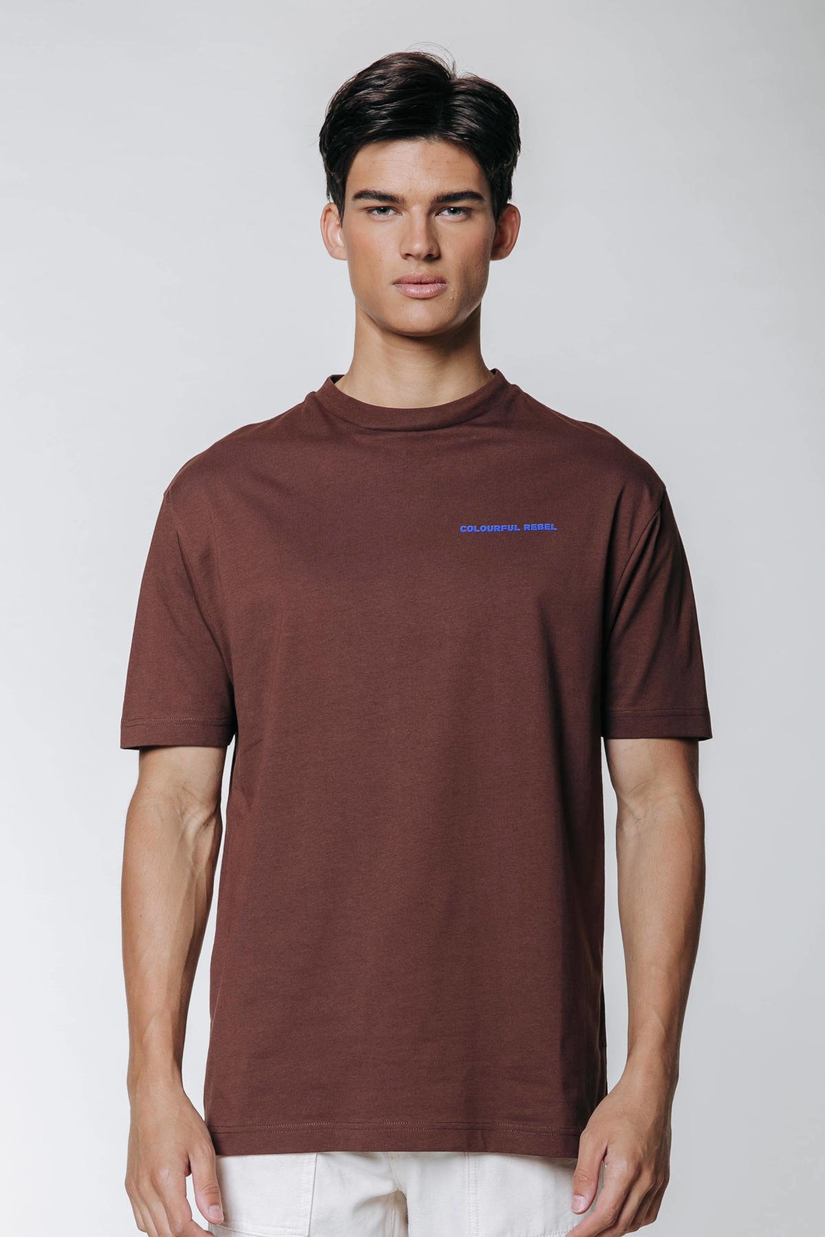 Colourful Rebel T-shirt Drive van katoen dark brown wehkamp