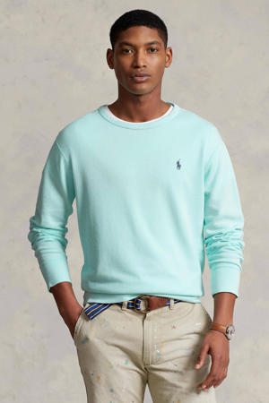Billy Goat Volgen Verst POLO Ralph Lauren sweaters voor heren online kopen? | Wehkamp