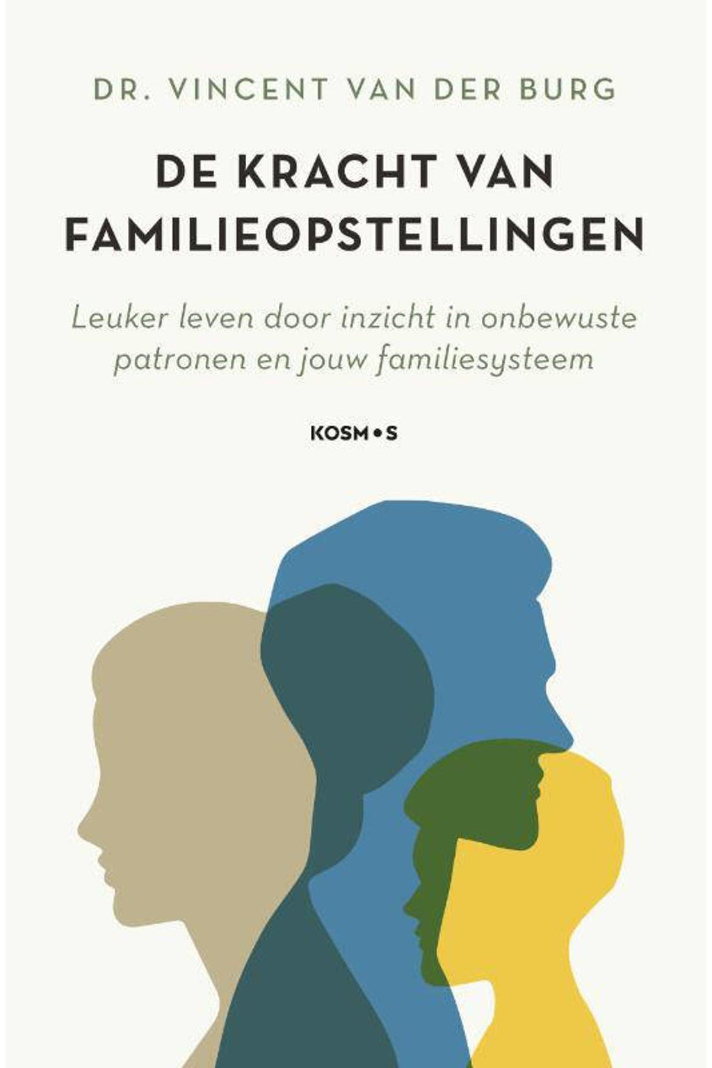 De kracht van familieopstellingen - Vincent van der Burg