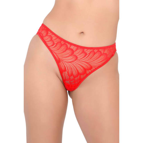 Daring brazilian rood afbeelding