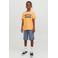 JACK & JONES JUNIOR short JJIBOWIE grijsblauw