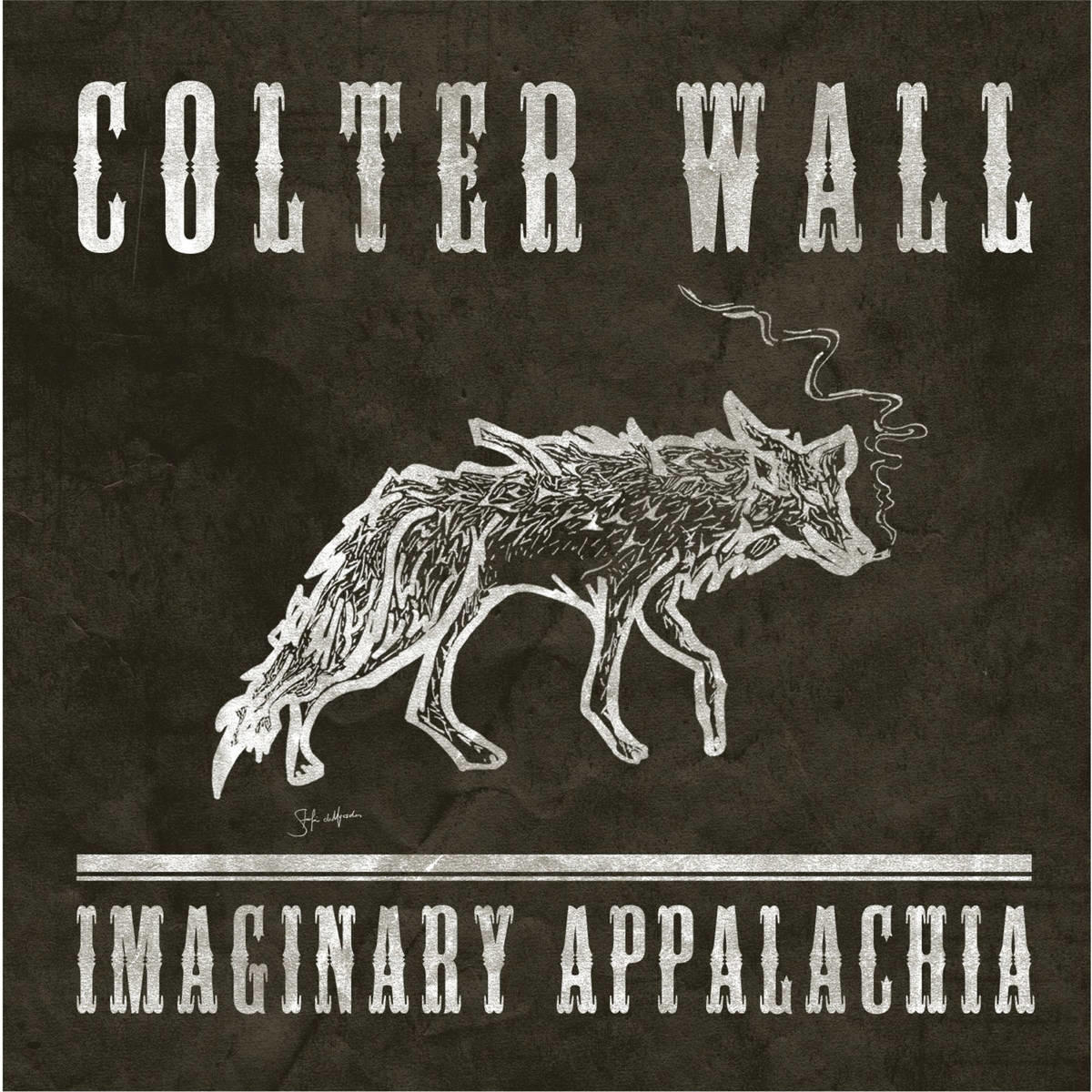 Colter Wall - Imaginary Appalachia (LP) | wehkamp