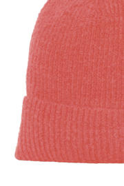 thumbnail: ICHI muts IAIVO koraalrood