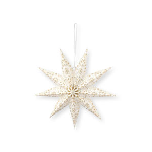 kerstster (60 cm)