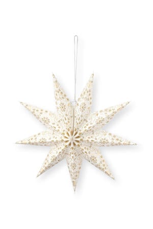 kerstster (60 cm)
