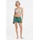 Protest strandshort PRTEVI groen