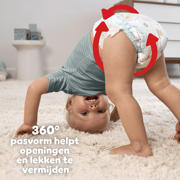 thumbnail: Pampers Baby-Dry Pants Maat 7 maandbox - 126 luierbroekjes - 17kg+